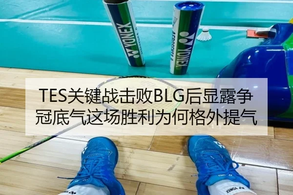TES关键战击败BLG后显露争冠底气这场胜利为何格外提气 | leyu